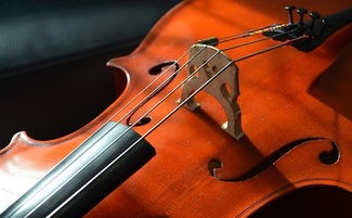 大提琴 Pixabay 下载免费图片